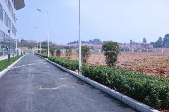 植此青绿  共树未来